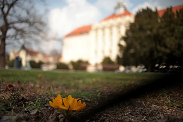 Minolta MC W.Rokkor-SI 28mm f2.5 (Minolta MD) - 00005241.webp