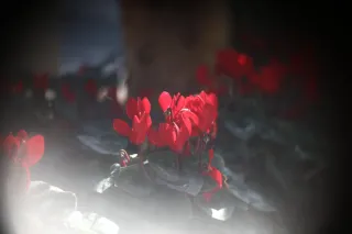 Simplex Ampro Ltd 2.5cala (63.5mm) f1.8 16mm (DIY) - 00003122.webp