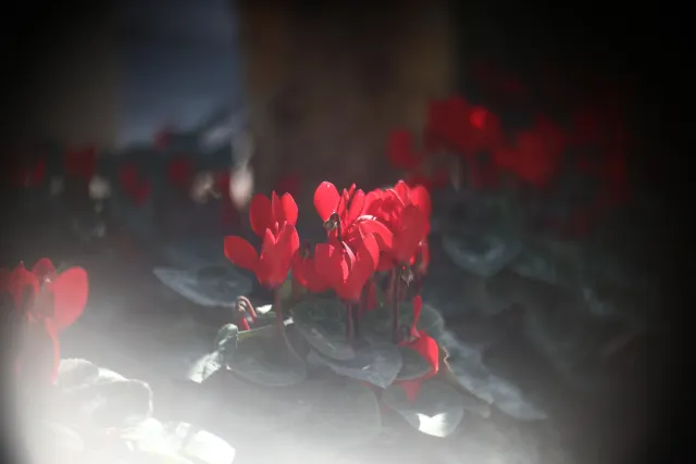 Simplex Ampro Ltd 2.5cala (63.5mm) f1.8 16mm (DIY) - 00003122.webp