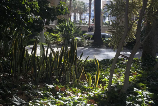 Zenith Helios-77M-4 50mm f1.8 VOMZ (M42) - 00000743.webp