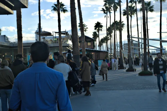 Meyer-Optik Görlitz Primagon 35mm f4.5 (M42) - 00001219.webp