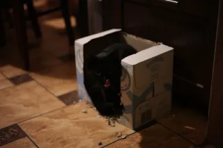 Rollei Planar 50mm f1.8 HFT C (QBM) - 00001726.webp