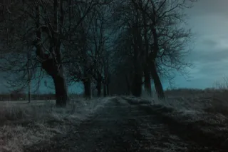 Vivitar 28mm f2.5 (M42) - 00004852.webp