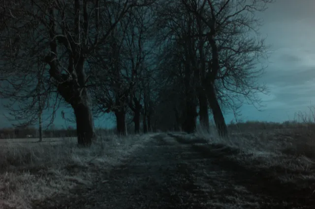 Vivitar 28mm f2.5 (M42) - 00004852.webp