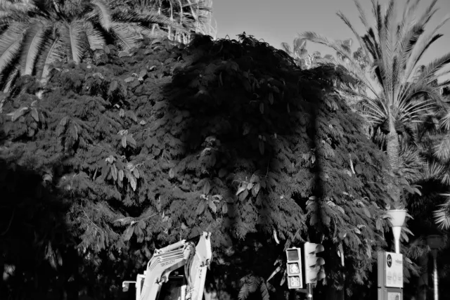 Zenith Helios-77M-4 50mm f1.8 VOMZ (M42) - 00000668.webp