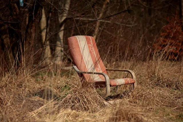 Canon Lens FD 135mm f2.5 S.C. (FD) - 00005272.webp