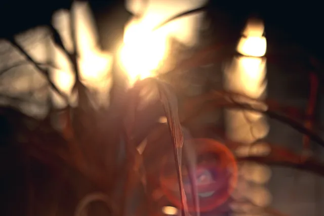 Yashica Lens DSB 55mm f2 (CY) - 00005386.webp