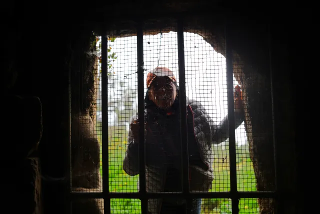 Carl Zeiss Jena DDR Pancolar Electric 50mm f1.8 (M42) - 00004464.webp