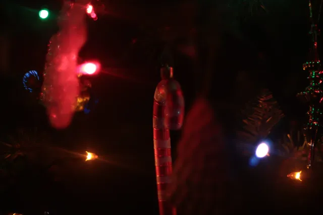 Ricoh Rikenon 50mm f1.4 (Pentax-K) - 00001806.webp