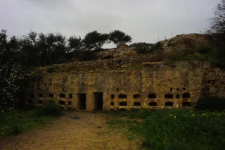 Carl Zeiss Flektogon f4 20mm (m42).md - 00004446.webp