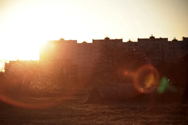 Canon FD 70-210mm f4 (FD) - 00005454.webp