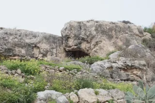 Tamron 28-300mm F3.5-6.3 (EF) - 00004572.webp