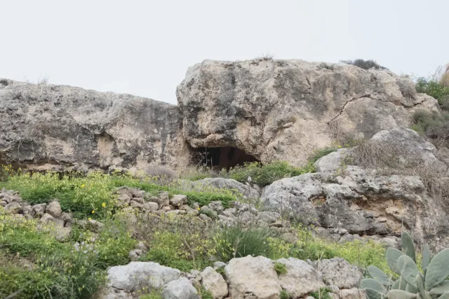 Tamron 28-300mm F3.5-6.3 (EF) - 00004572.webp