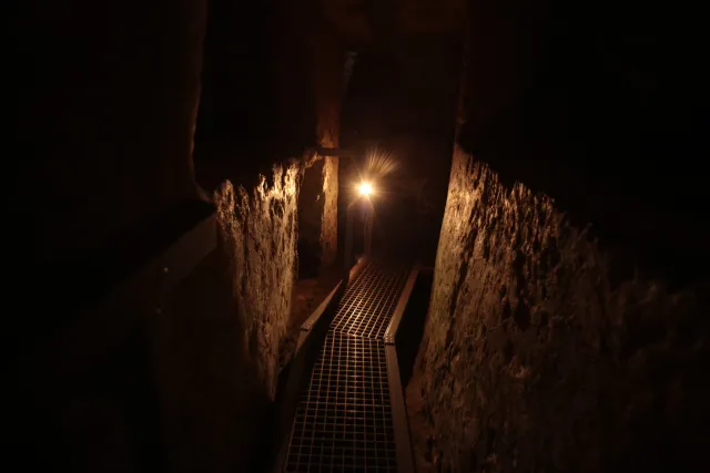 Carl Zeiss Flektogon f4 20mm (m42).md - 00003880.webp