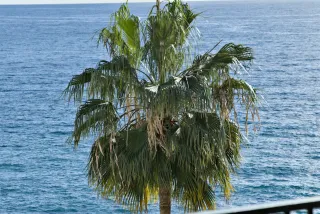 Tamron 28-300mm F3.5-6.3 (EF) - 00000355.webp