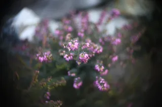 Simplex Ampro Ltd 2.5cala (63.5mm) f1.8 16mm (DIY) - 00002221.webp