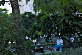 Zenith Helios-77M-4 50mm f1.8 VOMZ (M42) - 00000183.webp