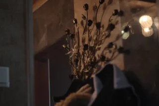 Leitz Wetzlar Hektor 85mm f2.5 (DIY) - 00004774.webp