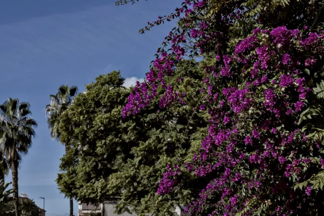 Industar-50-2 50mm f3.5 (M42) - 00000116.webp