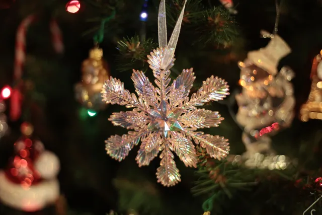 Rollei Planar 50mm f1.8 HFT C (QBM) - 00001600.webp