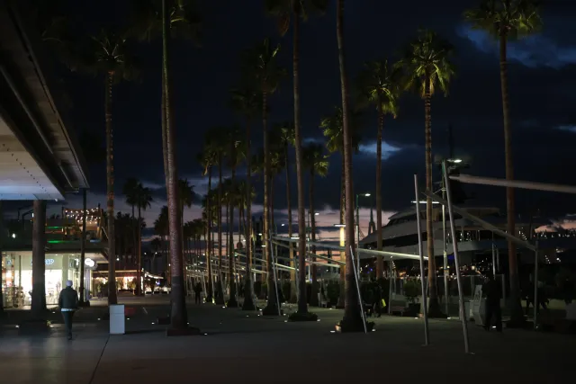 Osawa 135mm f2.8 (Minolta MD) - 00002786.webp