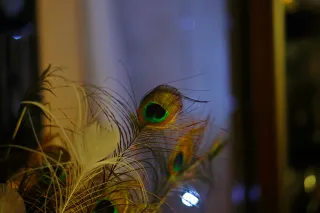 Auto Exaktar EEM 35mm f2.8 ( Minolta MD) - 00001950.webp