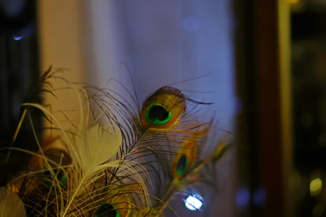 Auto Exaktar EEM 35mm f2.8 ( Minolta MD) - 00001950.webp