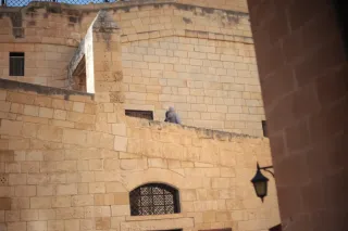 Carl Zeiss Jena DDR Pancolar Electric 50mm f1.8 (M42) - 00003722.webp