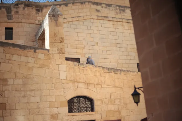 Carl Zeiss Jena DDR Pancolar Electric 50mm f1.8 (M42) - 00003722.webp