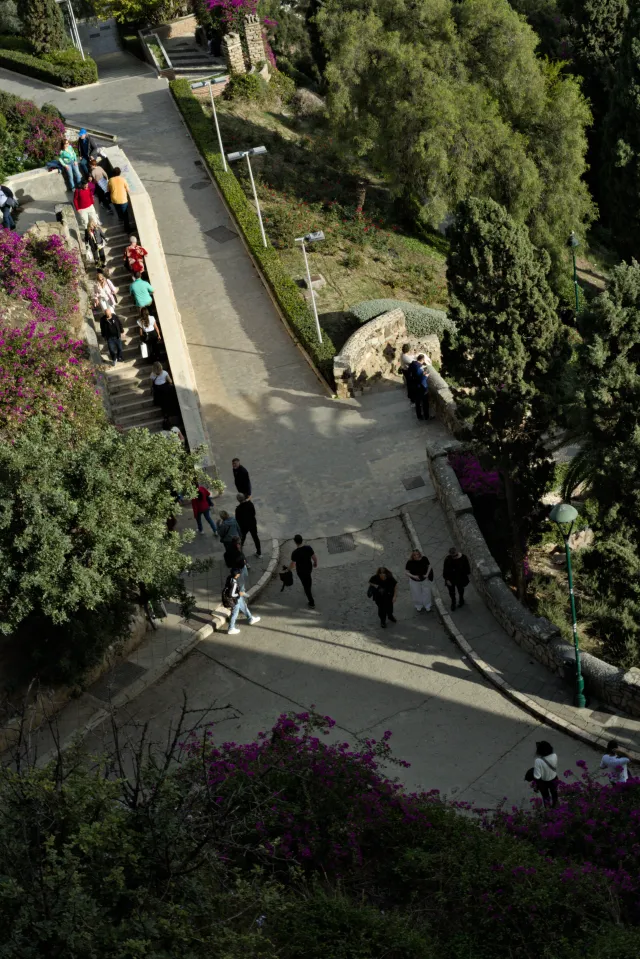 Meyer-Optik Görlitz Primagon 35mm f4.5 (M42) - 00001143.webp