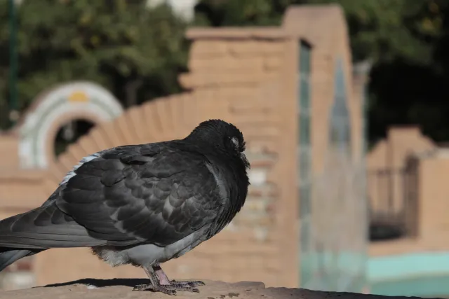 Industar-50-2 50mm f3.5 (M42) - 00002409.webp