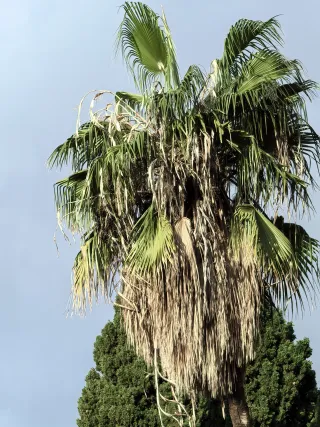 HUAWEI Pura 70 Ultra - System Aparatów - 00002332.webp