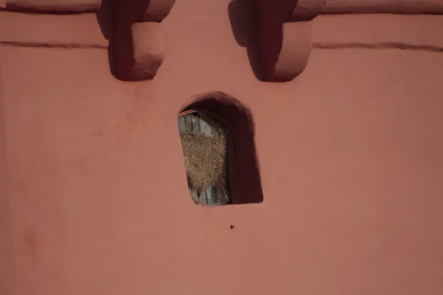 Tamron 28-300mm F3.5-6.3 (EF) - 00004696.webp