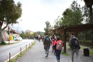 Auto Exaktar EEM 35mm f2.8 ( Minolta MD) - 00003079.webp