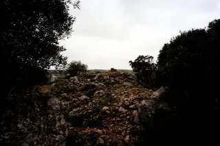 Carl Zeiss Flektogon f4 20mm (m42).md - 00004502.webp