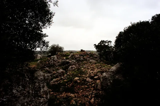 Carl Zeiss Flektogon f4 20mm (m42).md - 00004502.webp