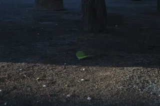 Industar-50-2 50mm f3.5 (M42) - 00002428.webp