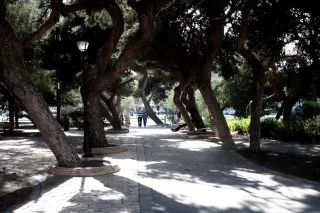 Carl Zeiss Jena DDR Pancolar Electric 50mm f1.8 (M42) - 00003615.webp