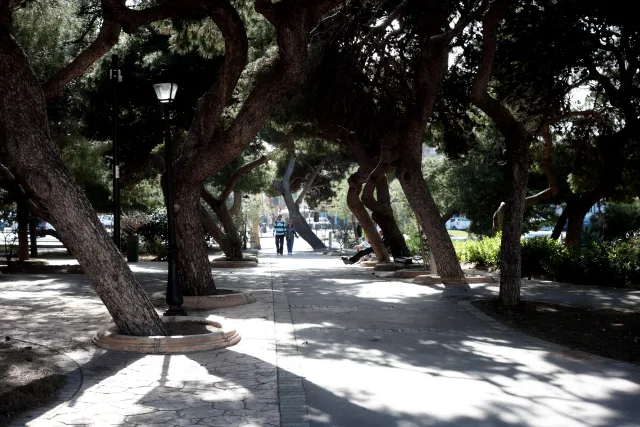 Carl Zeiss Jena DDR Pancolar Electric 50mm f1.8 (M42) - 00003615.webp