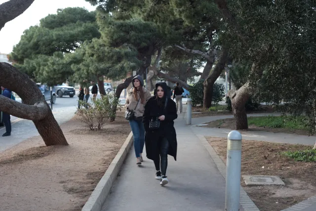 Carl Zeiss Jena DDR Pancolar Electric 50mm f1.8 (M42) - 00003782.webp