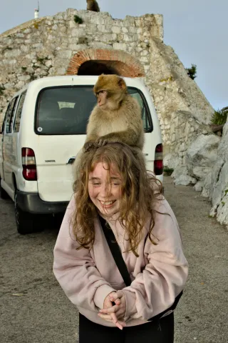 Tamron 28-300mm F3.5-6.3 (EF) - 00001482.webp