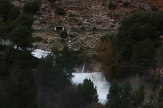 Osawa 135mm f2.8 (Minolta MD) - 00002940.webp