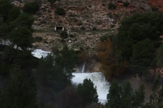 Osawa 135mm f2.8 (Minolta MD) - 00002940.webp