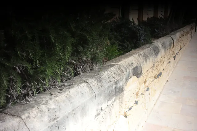 Meyer-Optik Görlitz Primagon 35mm f4.5 (M42) - 00004068.webp