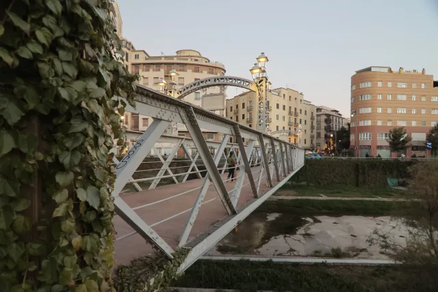 Tokina at-x 116 (EF) - 00002613.webp